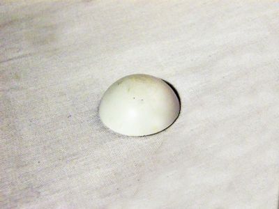 Ajtóütköző félgömb 40 mm, öntapadós, fehér | 3352600